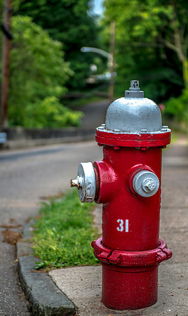 DSC_9178