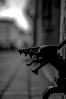 DSC_0059