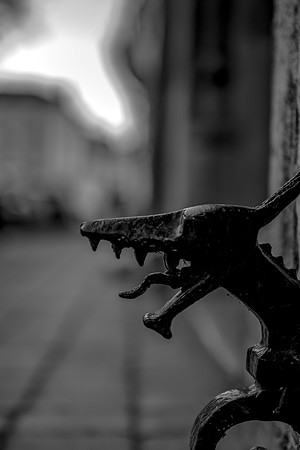 DSC_0059