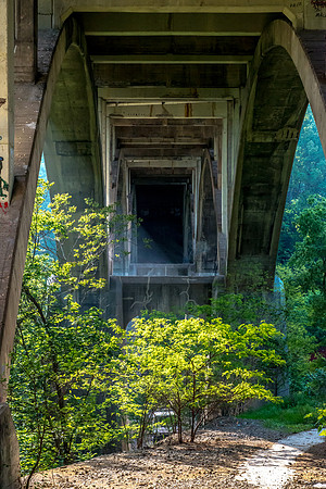 DSC_9186
