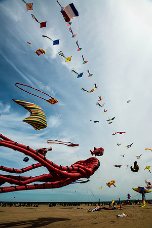 Kites on the beach